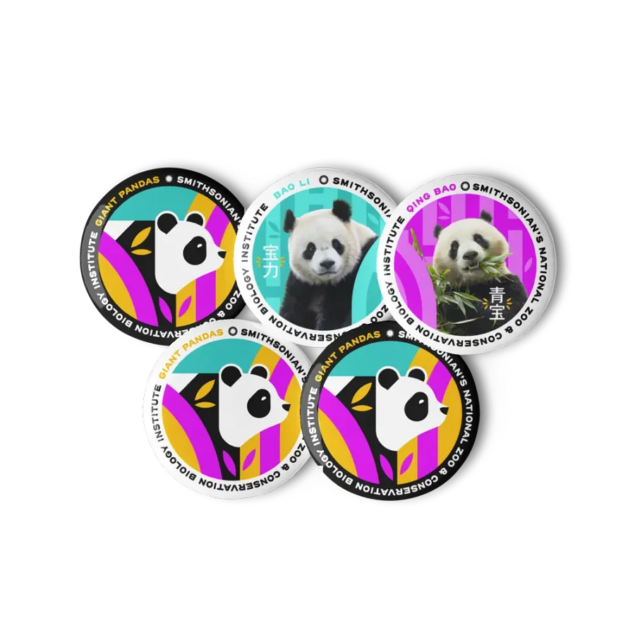 Pandas Are Here Pin Set Image 2