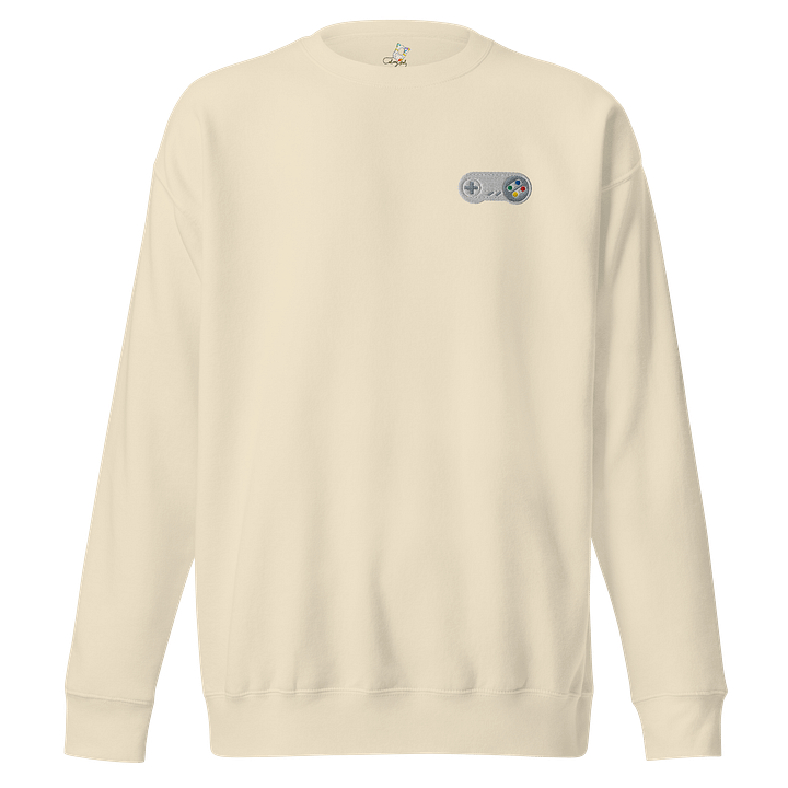 Classically Trained Embroidered Sweatshirt product image (16)