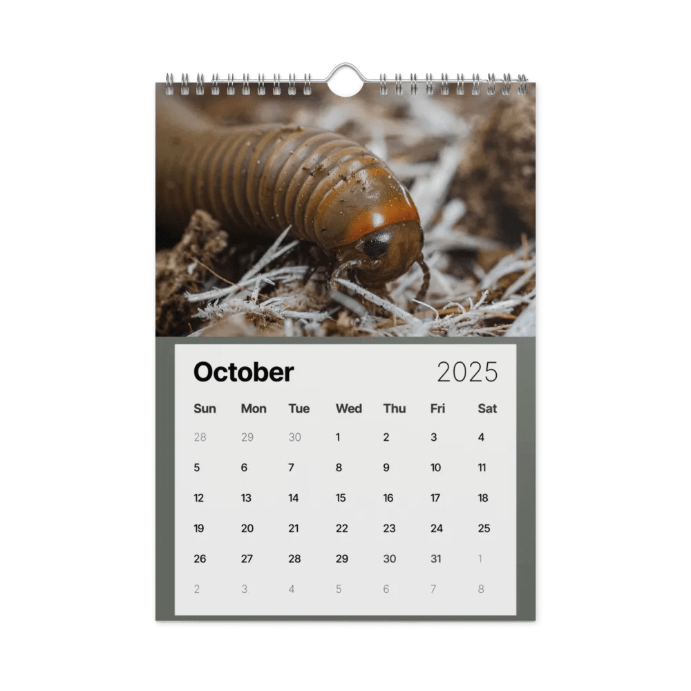 Alveus 2025 Calendar product image (42)