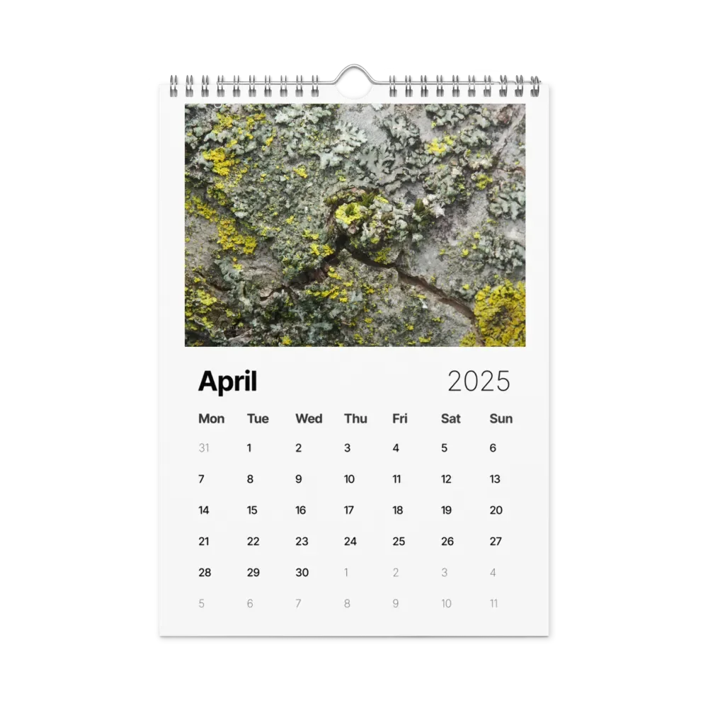 Likin' Lichen 2025 Wall Calendar product image (5)