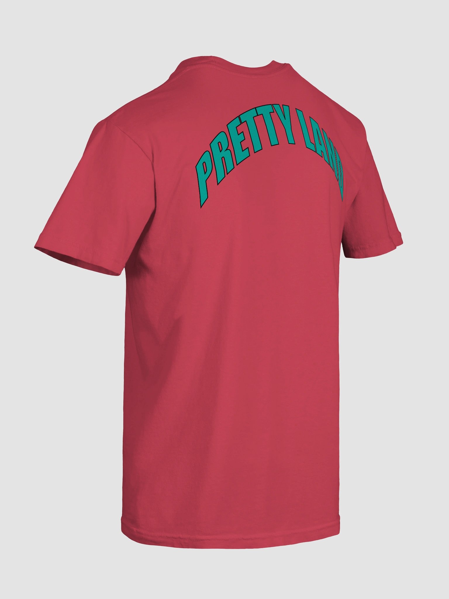 Teal "Pretty Land" Tee product image (58)