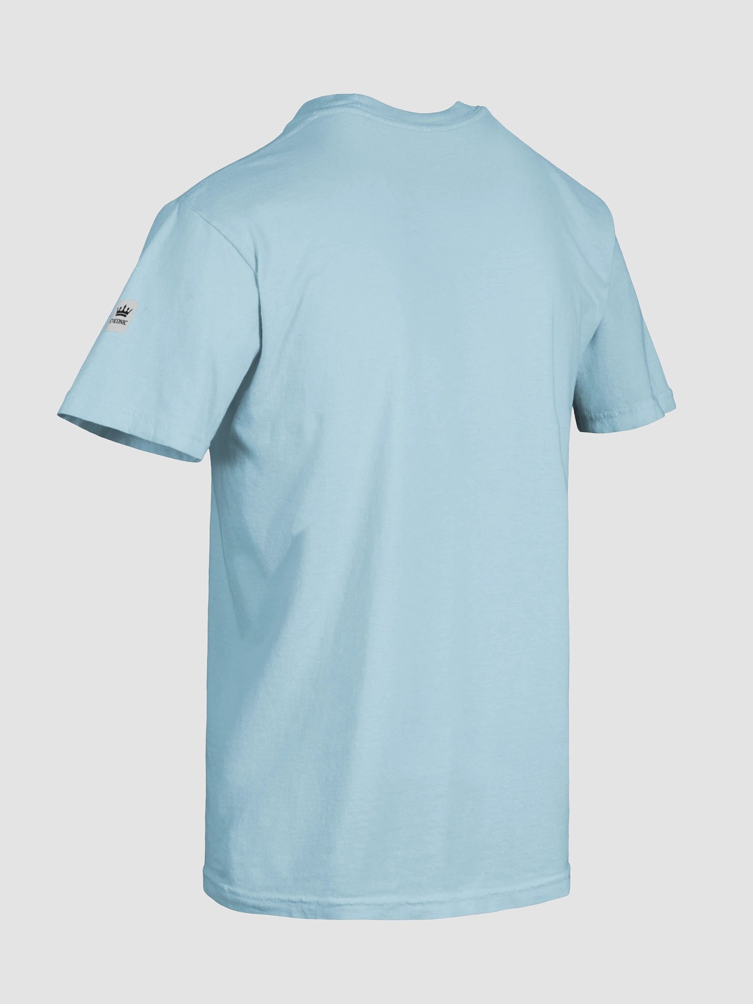 Blessed Beyond Words T-Shirt with Black Graphic product image (10)