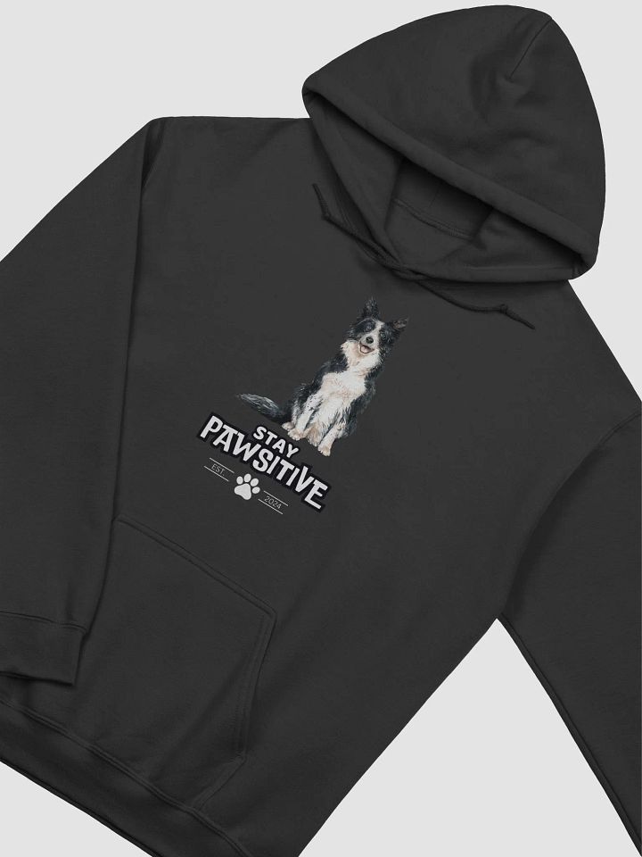 Dog - Stay Pawsitive Hoodie product image (2)