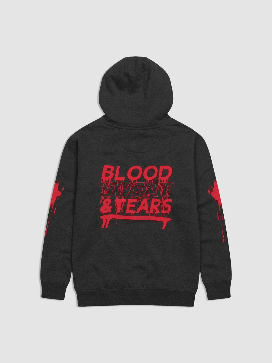 Blood Sweat Tears Hoodie product image (2)