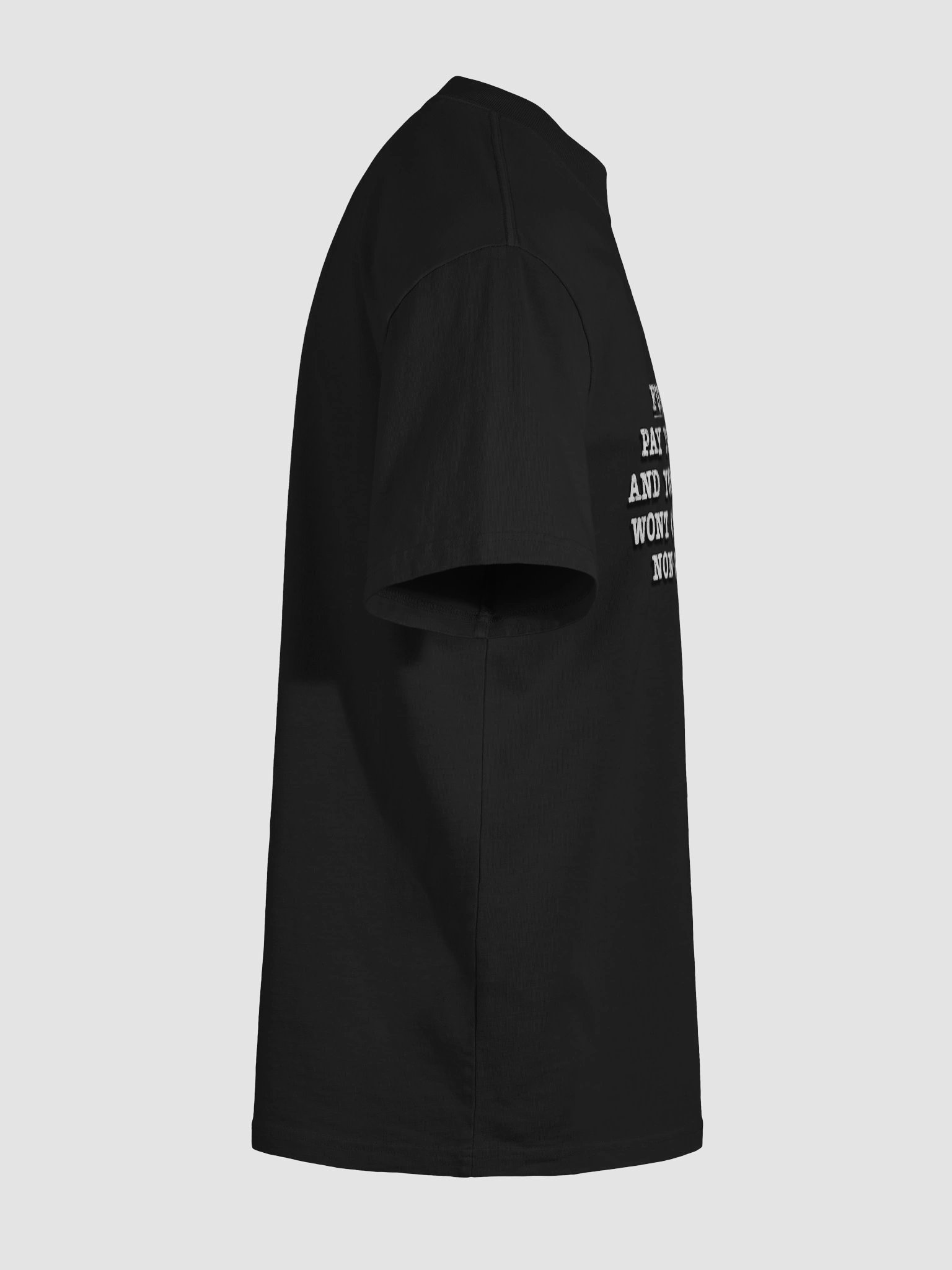 Fun Fact Shirt product image (41)