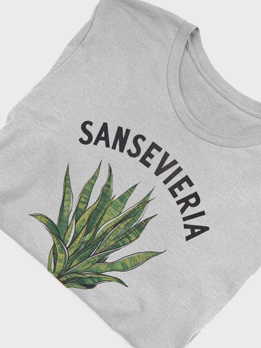 Sansevieria Club product image (22)