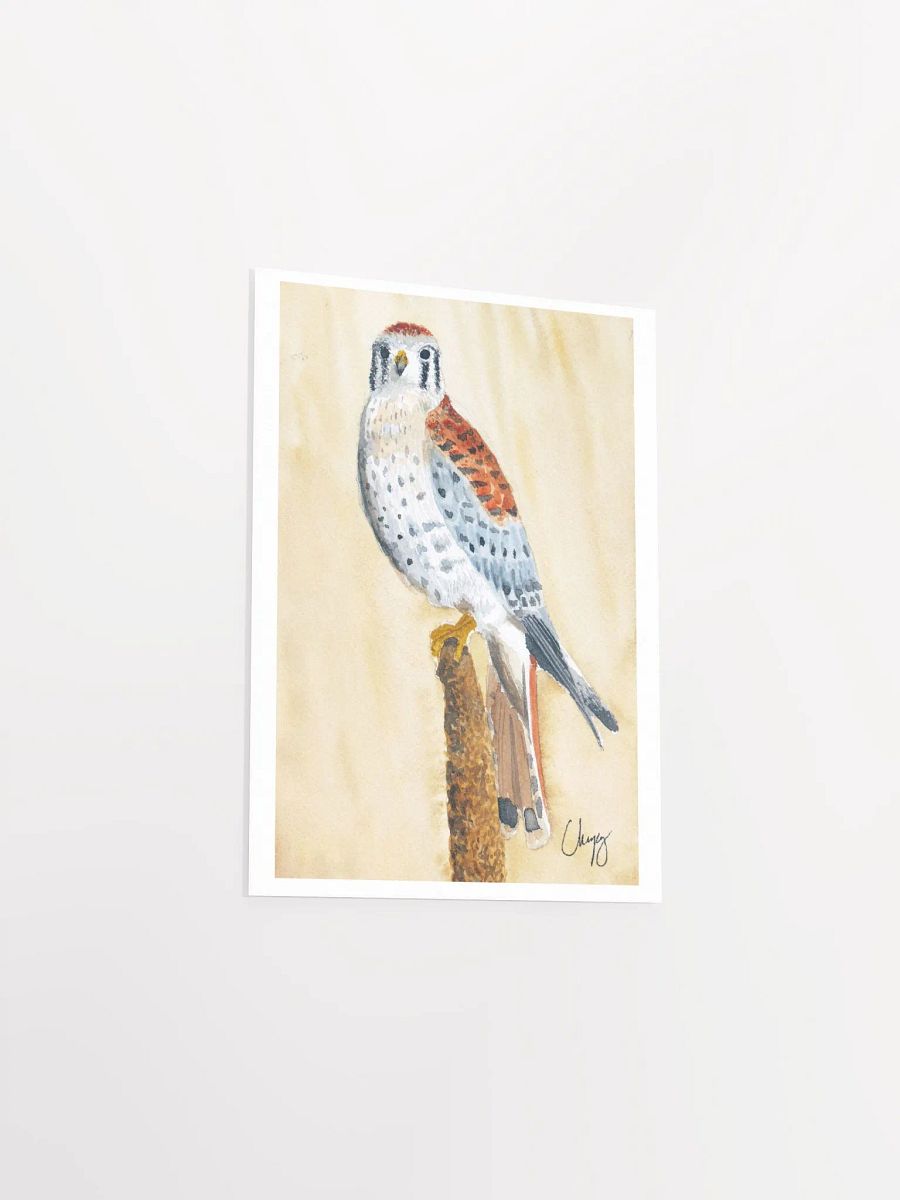 Kestrel Print product image (3)