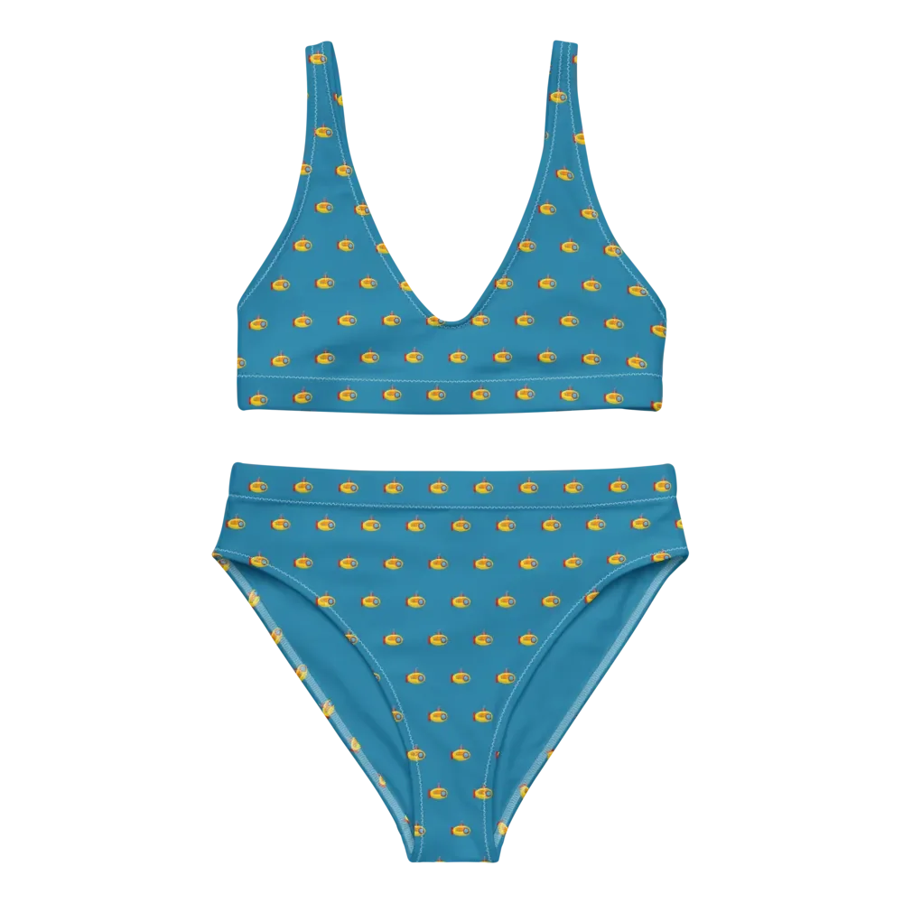 MSLA Sub Series - High Waisted Bikini product image (11)