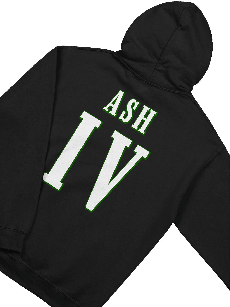 Ash Birds Hoodie product image (4)