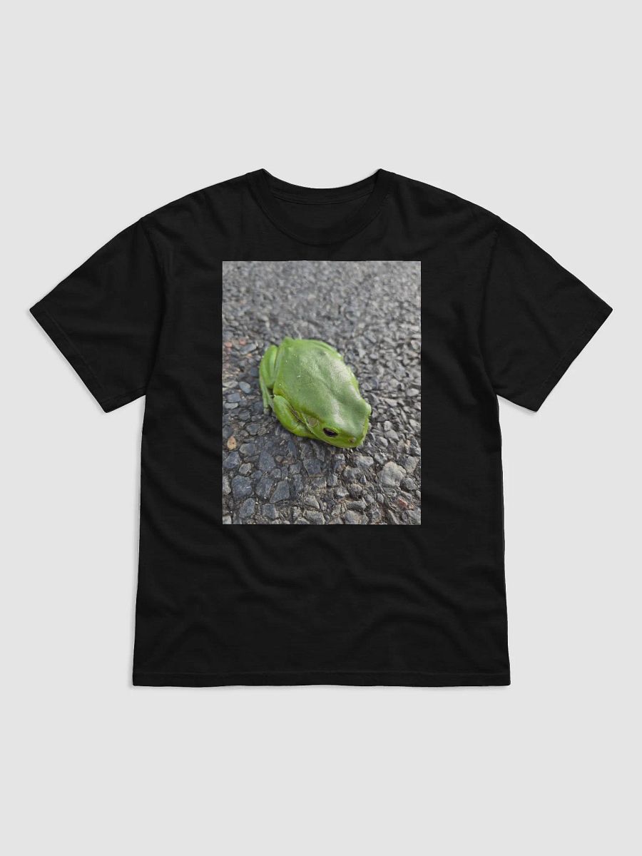 Frog on the road product image (1)