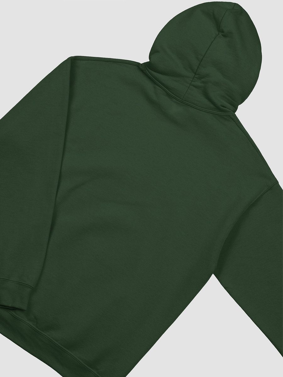 “It’s all a bit!!!” (lined design, #96B697) classic hoodie product image (22)