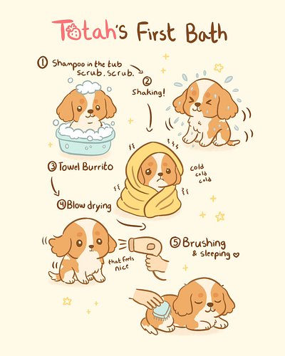 🛁✨ Totah’s First Bath! ✨🛁 @totahthecavalier 💖
She didn’t love every step (looking at you, towel burrito 😅), but she powered t...