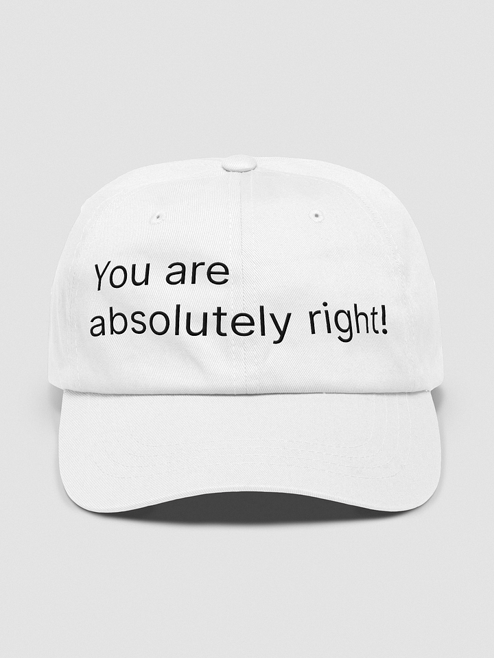 You are absolutely right! product image (1)