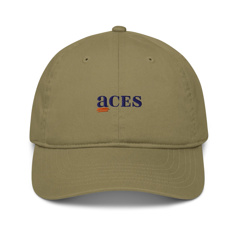 ACES mark classic dad hat product image (1)