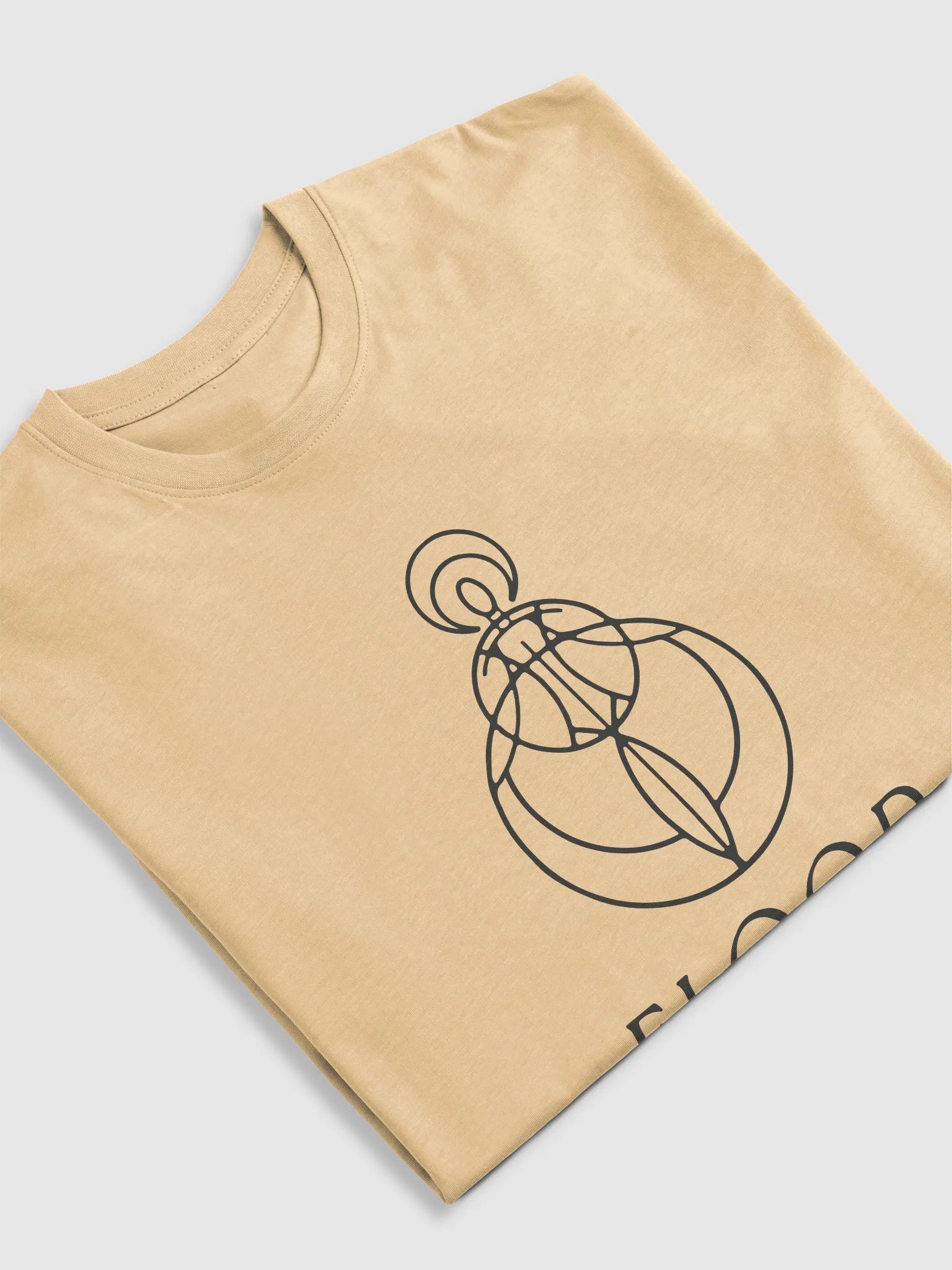 Flood Logo T-Shirt (heavyweight) product image (15)