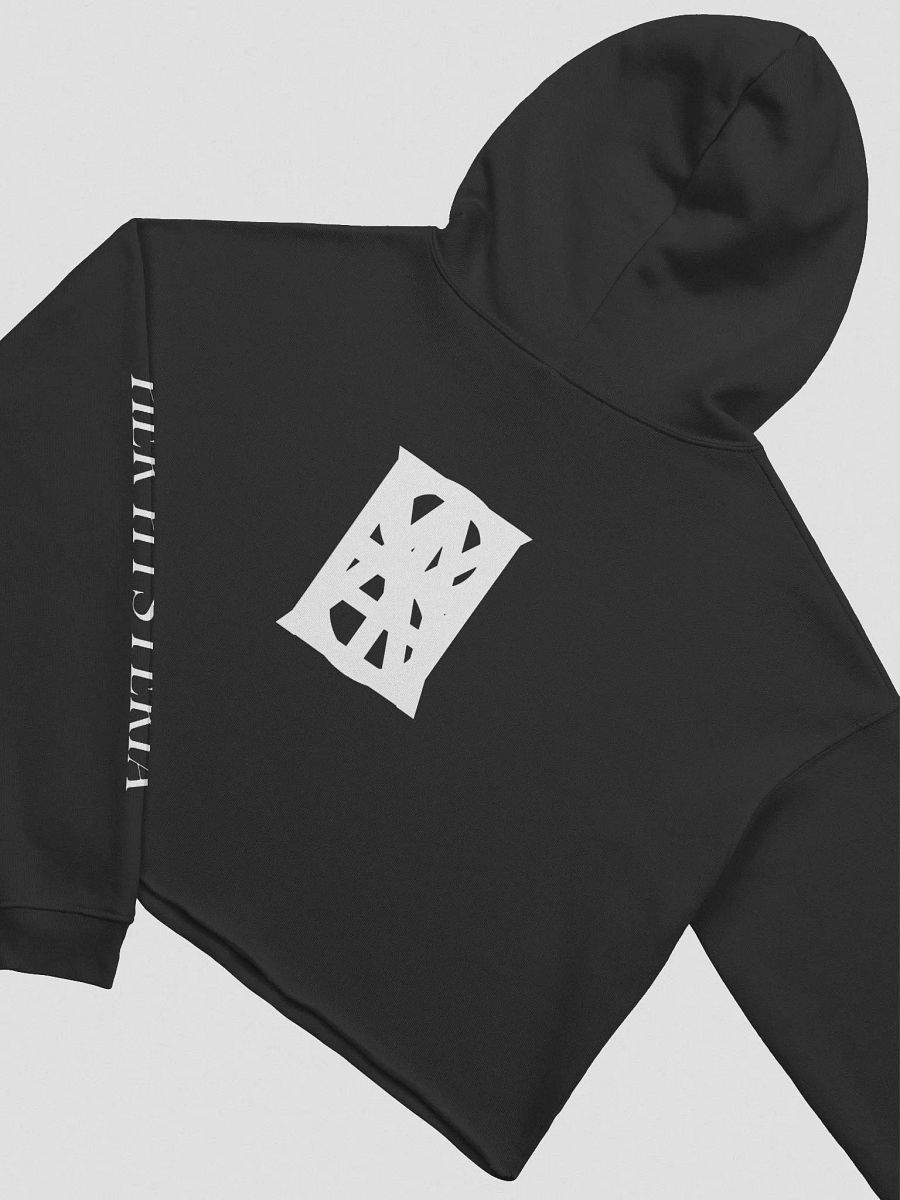 Hysteria Cropped Hoodie product image (14)