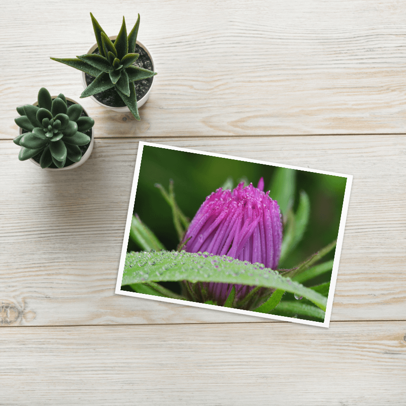Prime Dew Greeting Card product image (1)