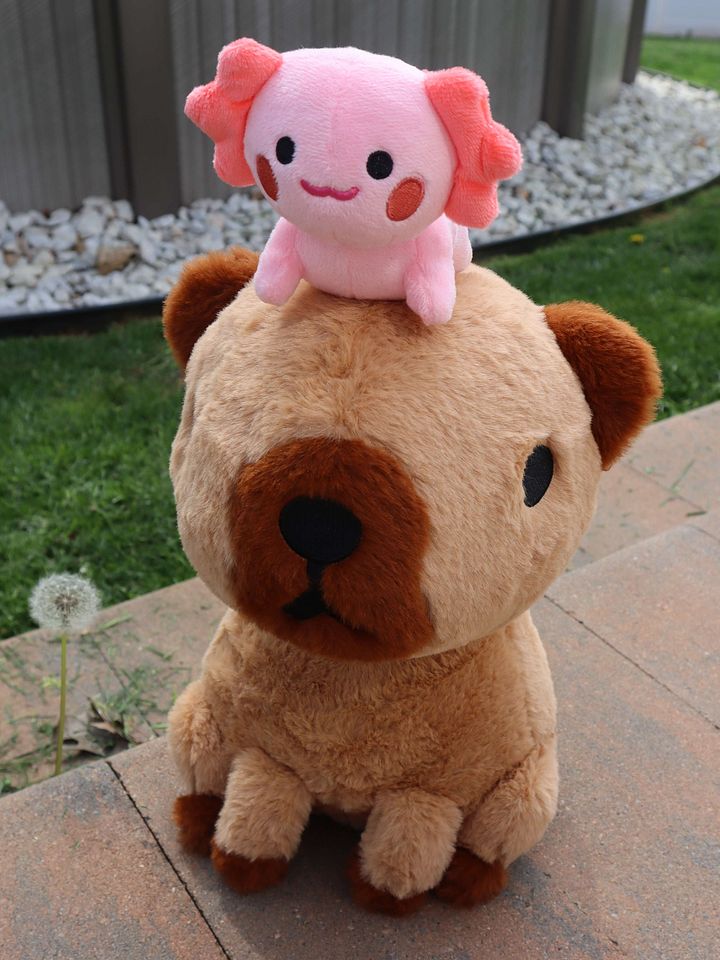 Capybara and Axolotl Magnetic Plushie (PRE ORDER) product image (2)