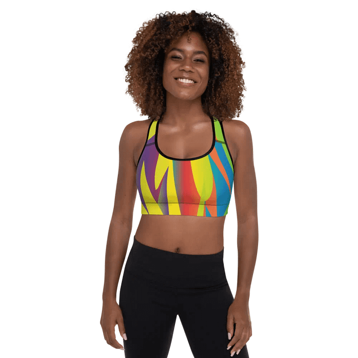Dromey2 Sports Bra product image (1)