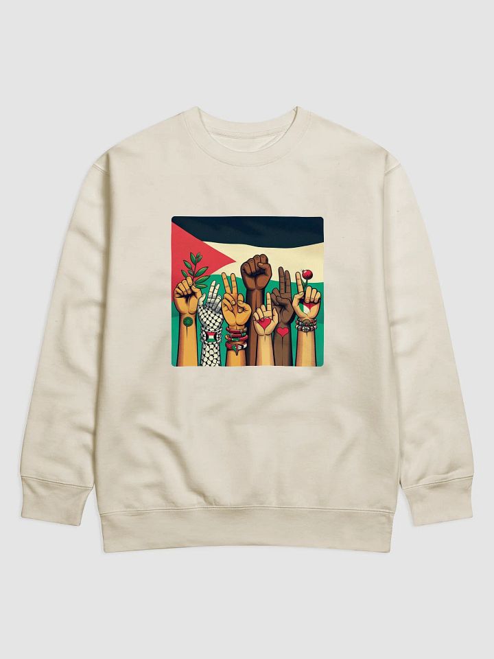 Solidarity Stripes Sweatshirt | free palestina product image (29)