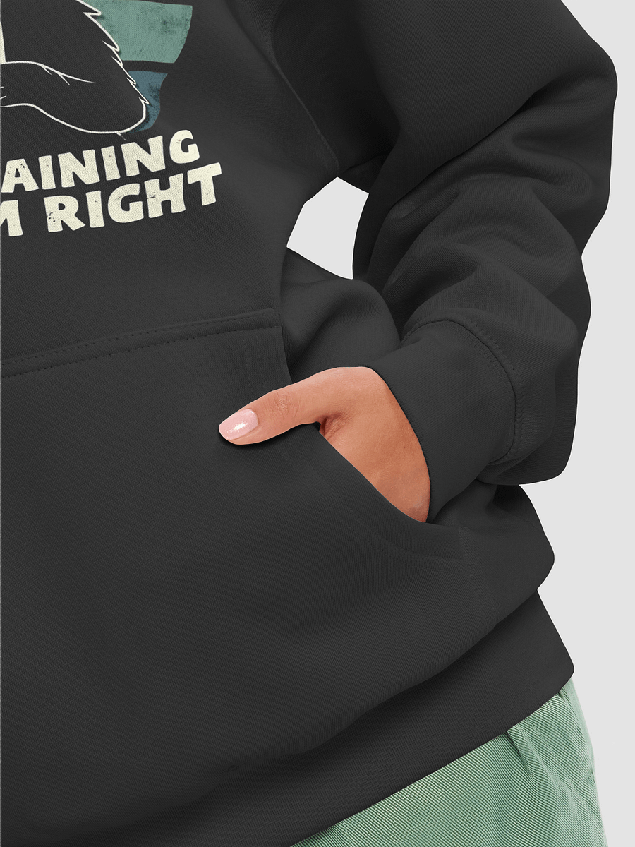 Pawsitively Right Hoodie product image (8)