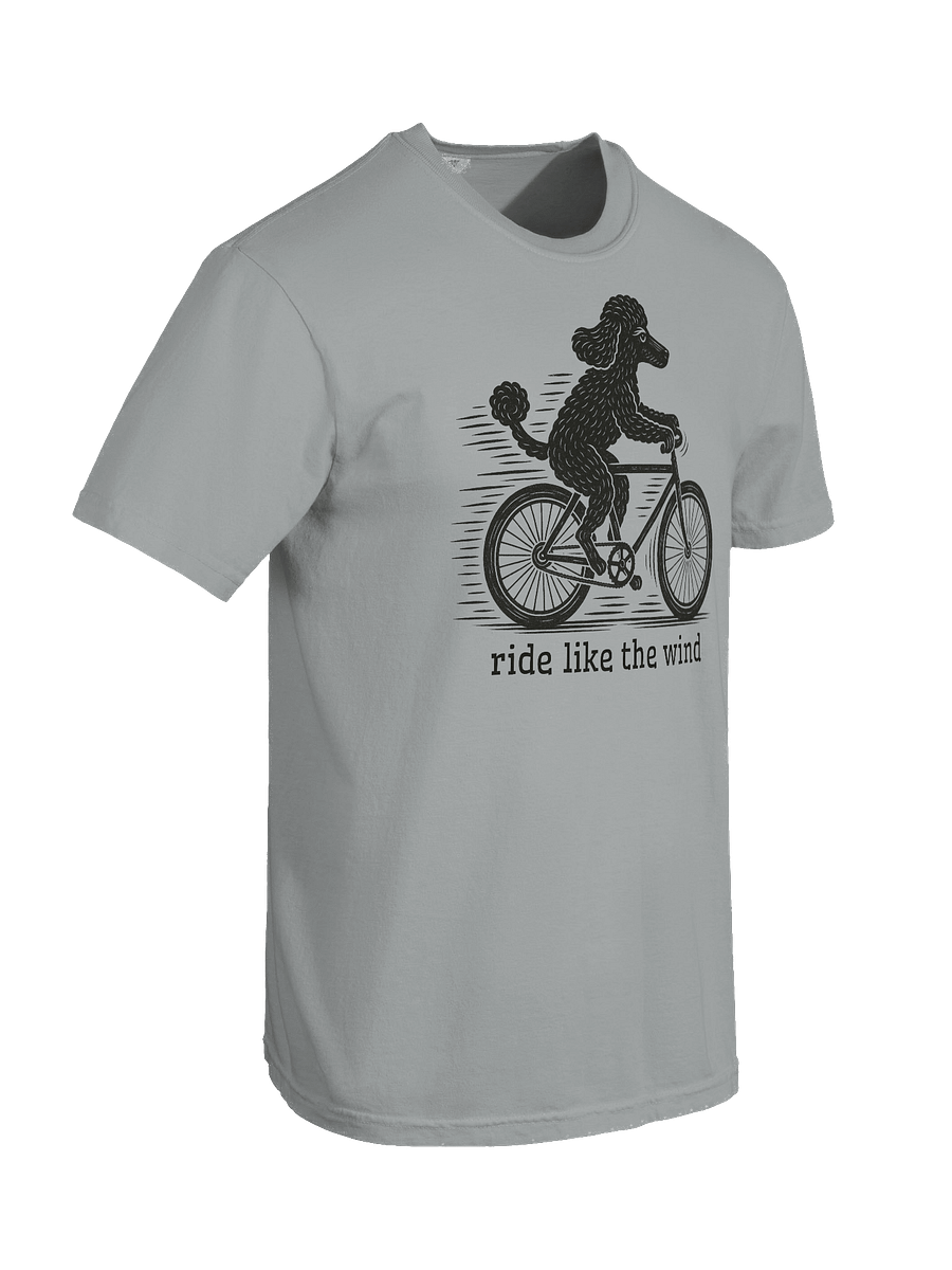 ride like the wind, little poodle product image (8)