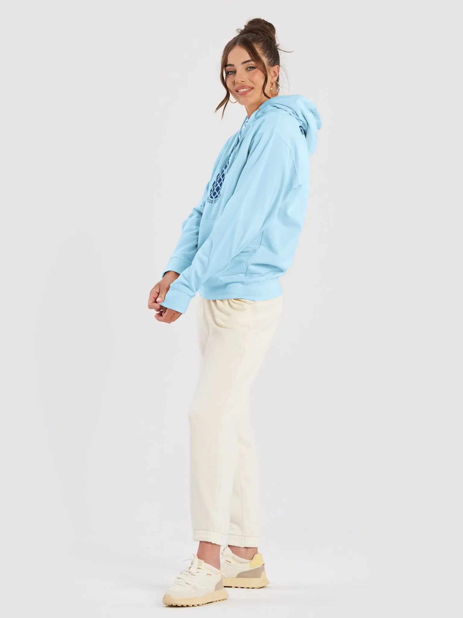 The Rhode Island Pineapple Story II (Heavyweight Fabric) product image (31)