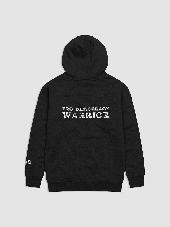 Pro-Democracy Warrior - Back Graphic Unisex Hoodie product image (5)