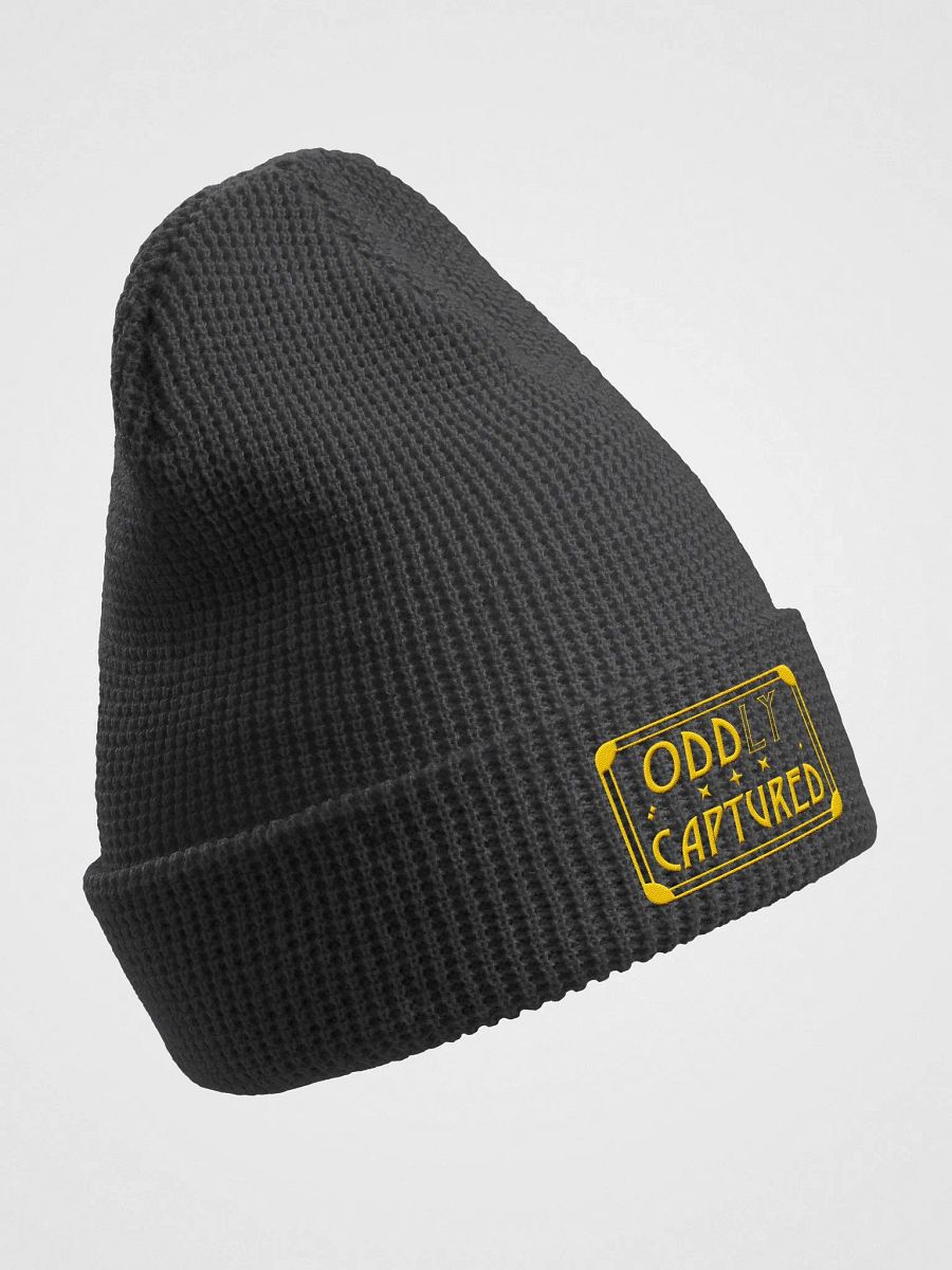 Oddly Captured Beanie (Embroidered) product image (3)
