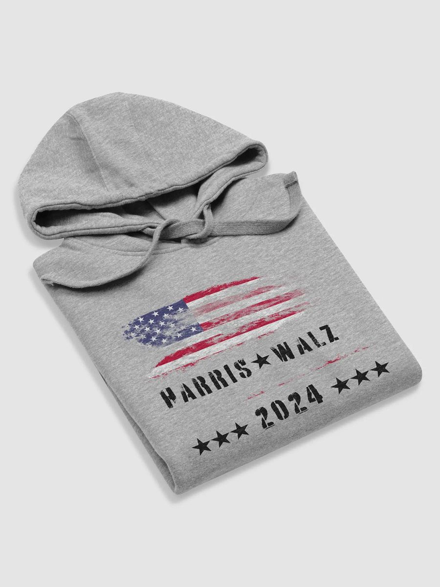 Harris-Walz Leadership Hoodie product image (50)