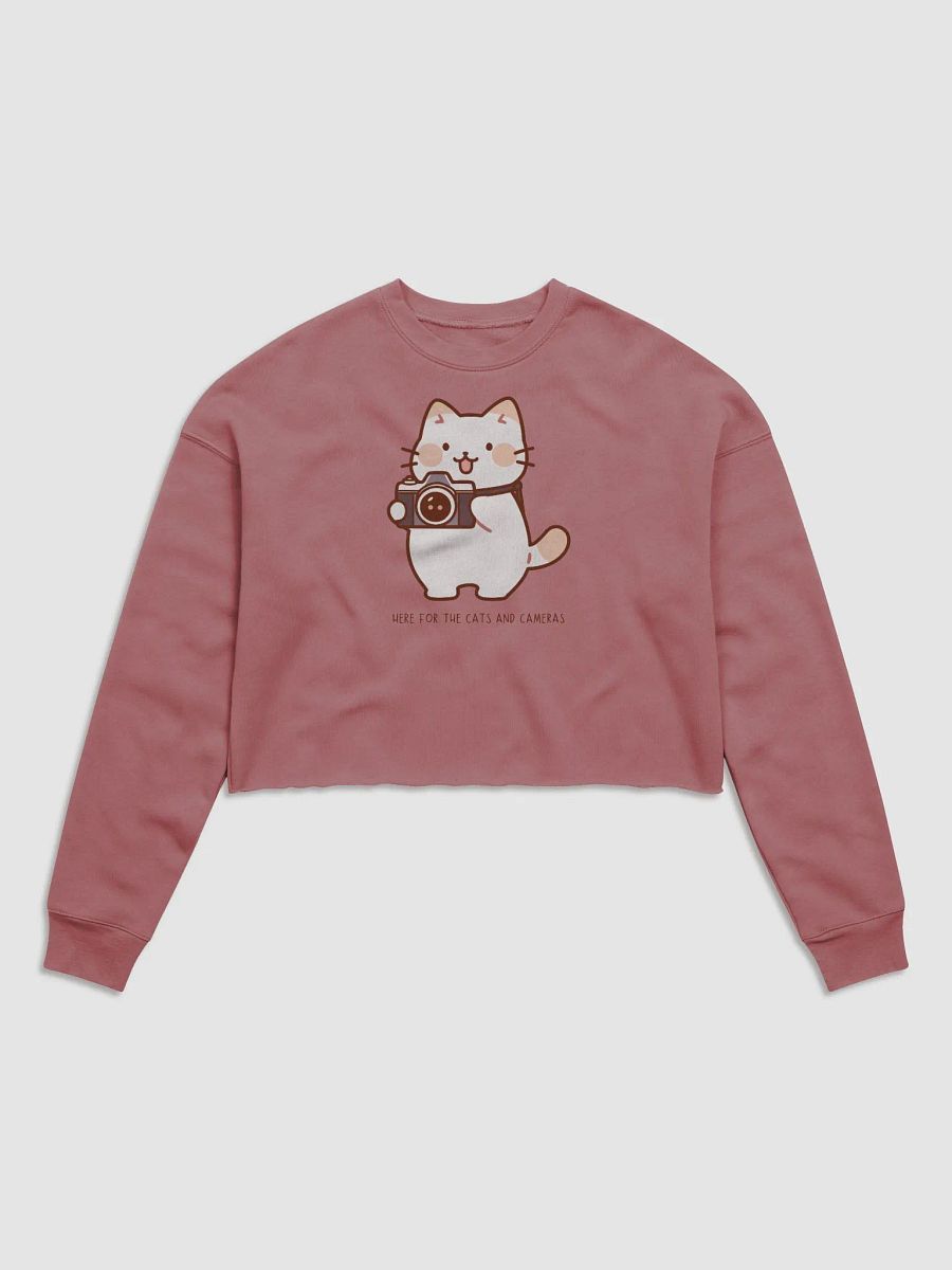 Cats and Cameras Cropped Sweatshirt product image (9)