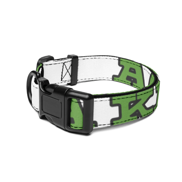 AOFA Pet collar product image (2)