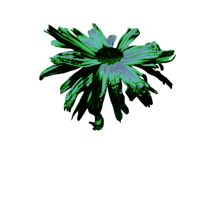Abstract Green Floating Daisy product image (1)