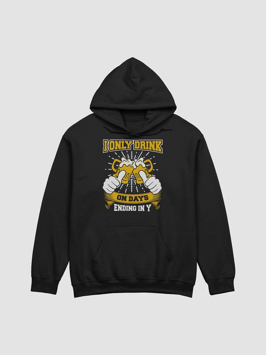 "I Only Drink On Days Ending In Y" Hoodie product image (1)