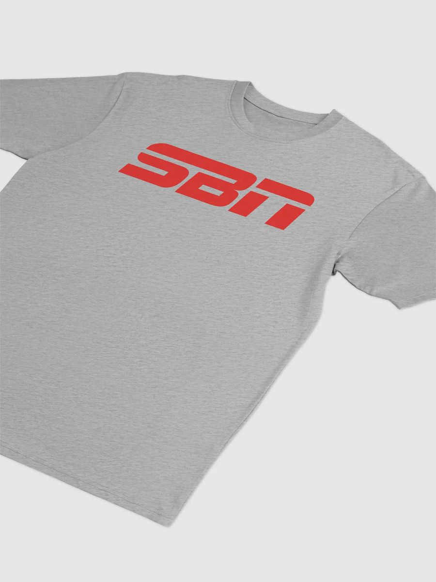 SBN Heavyweight T-Shirt Gray product image (2)