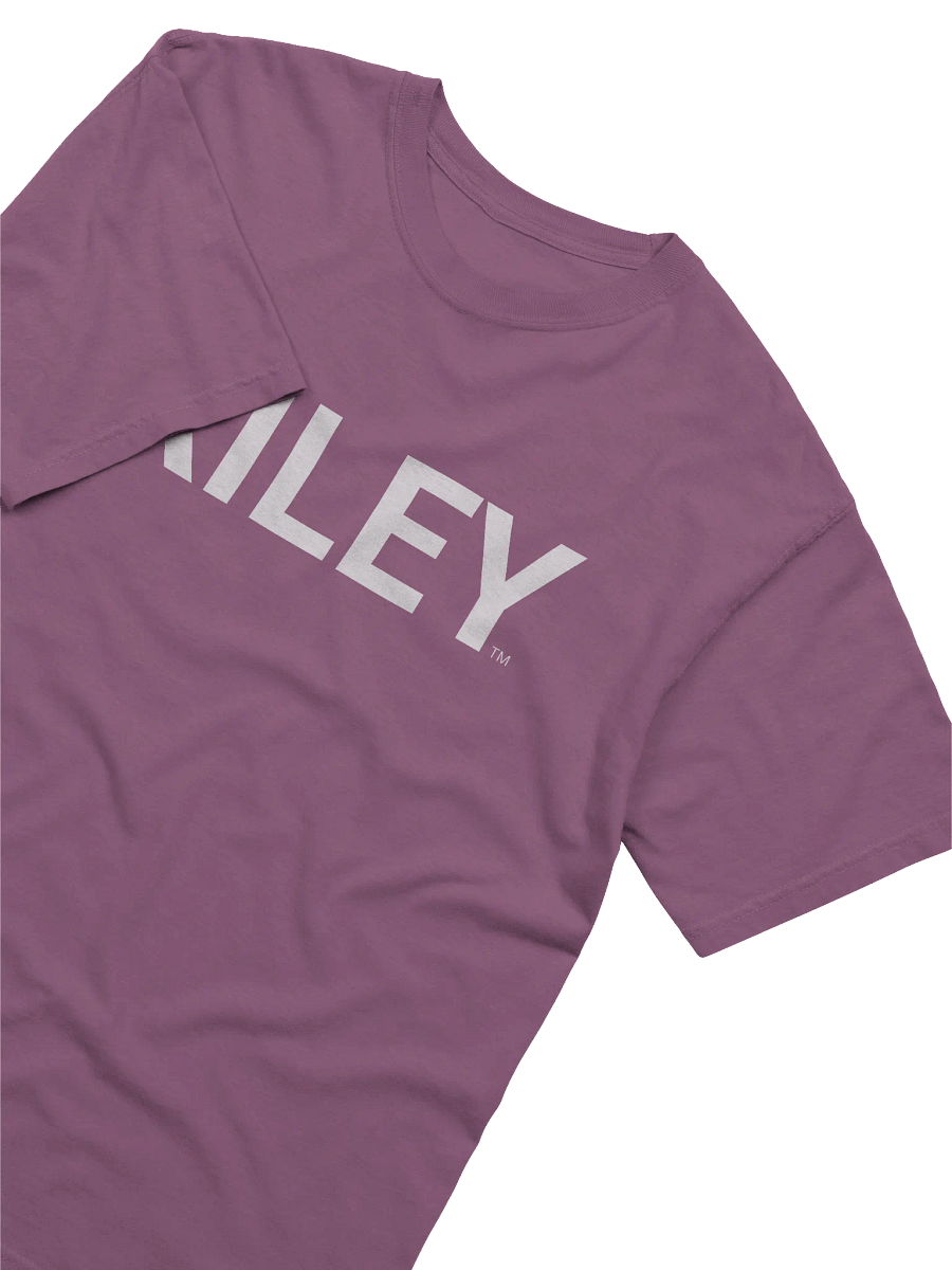 Ultimate Comfort Cotton Tee product image (25)