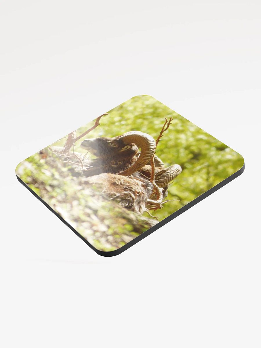 The European mouflon - Glossed Cork Coaster product image (3)