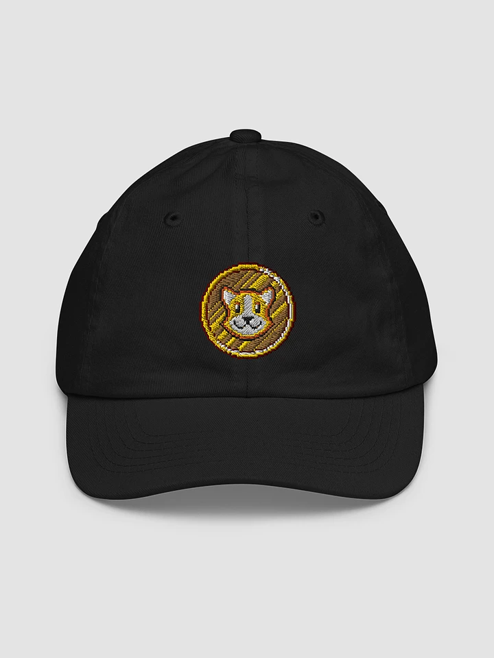 Continue Coin Dad Hat product image (1)