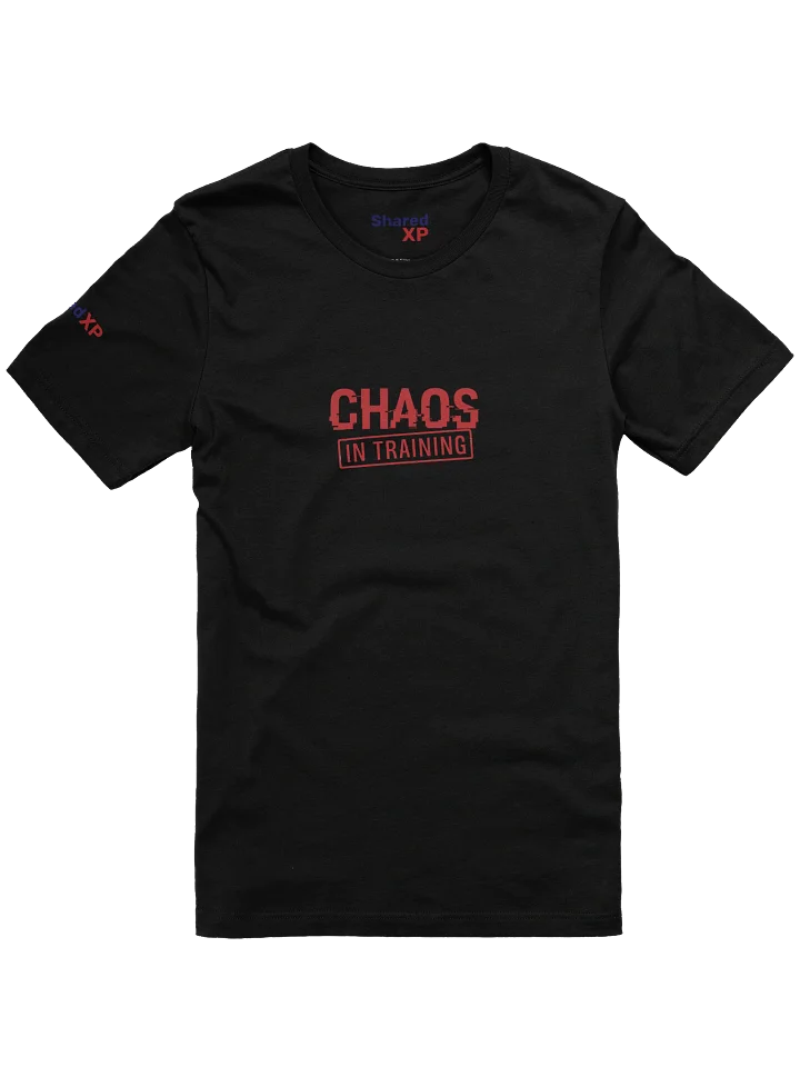 Chaos in Training T-Shirt product image (2)