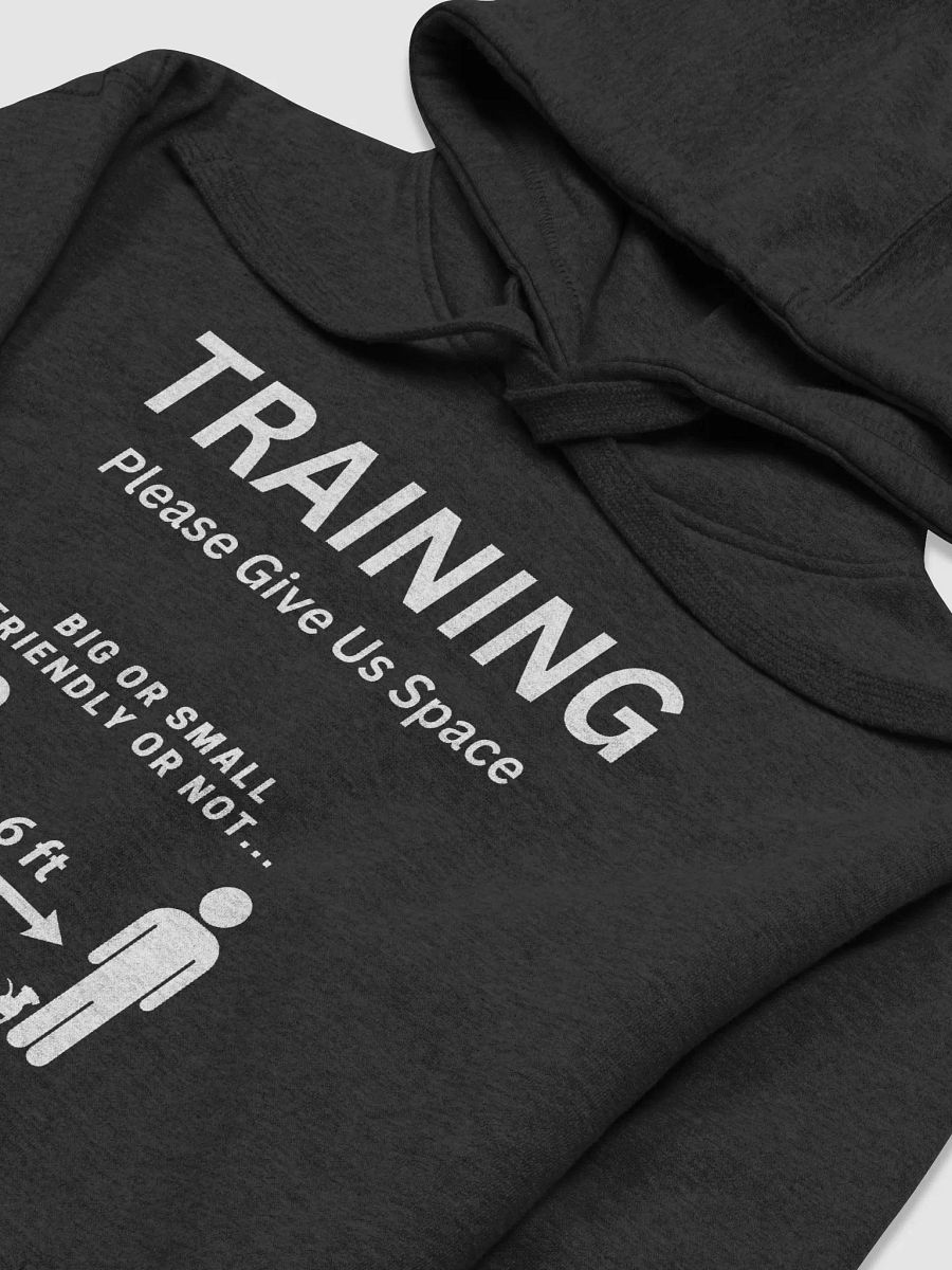 Training/Give Us Space Hoodie product image (3)