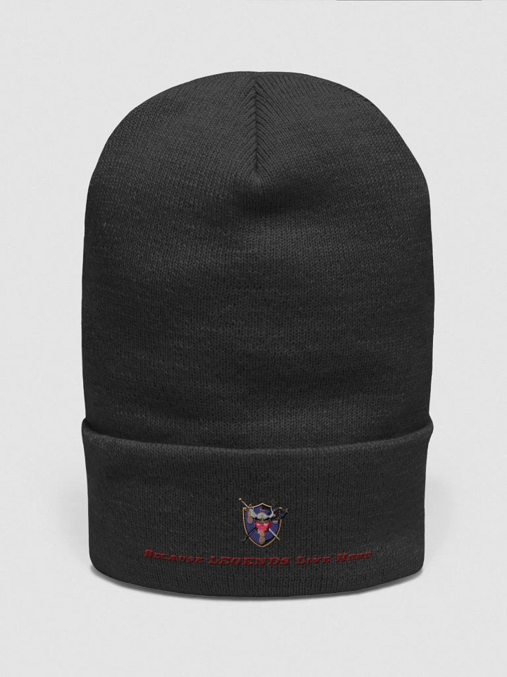 Warriors Beanie product image (1)