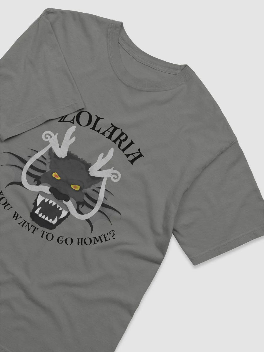 Do you want to go home? Tee product image (23)