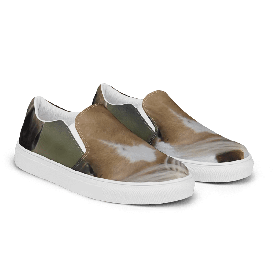 Horse on a Shoe product image (2)