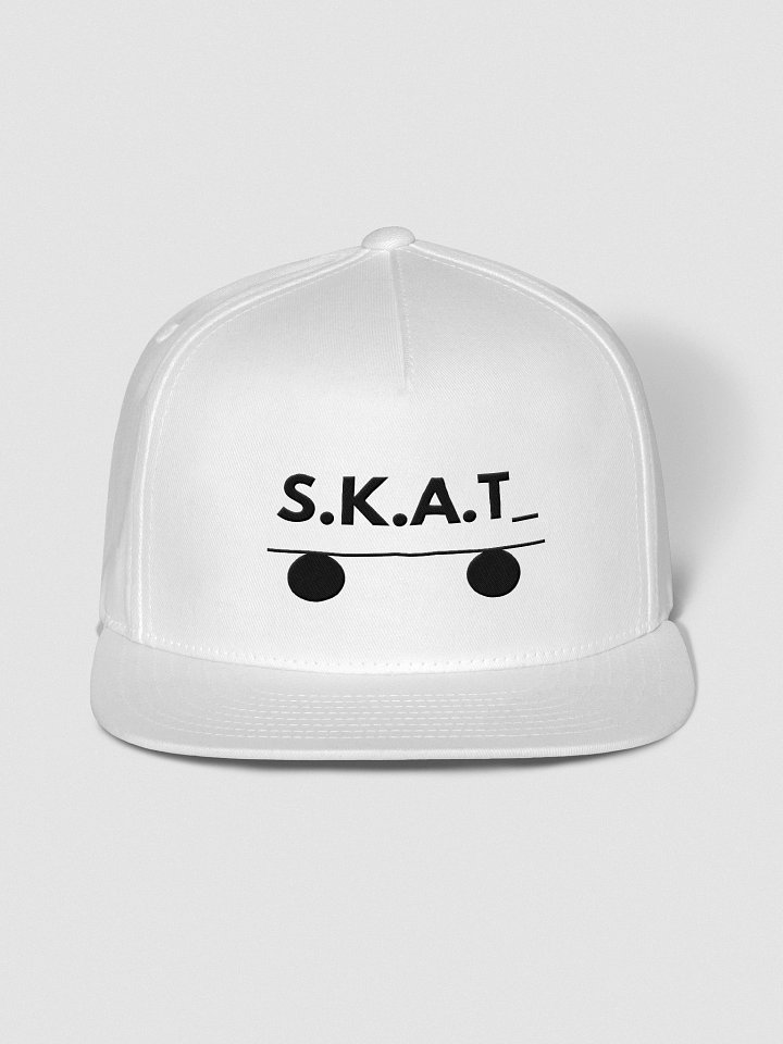 SKAT_ CAP product image (1)
