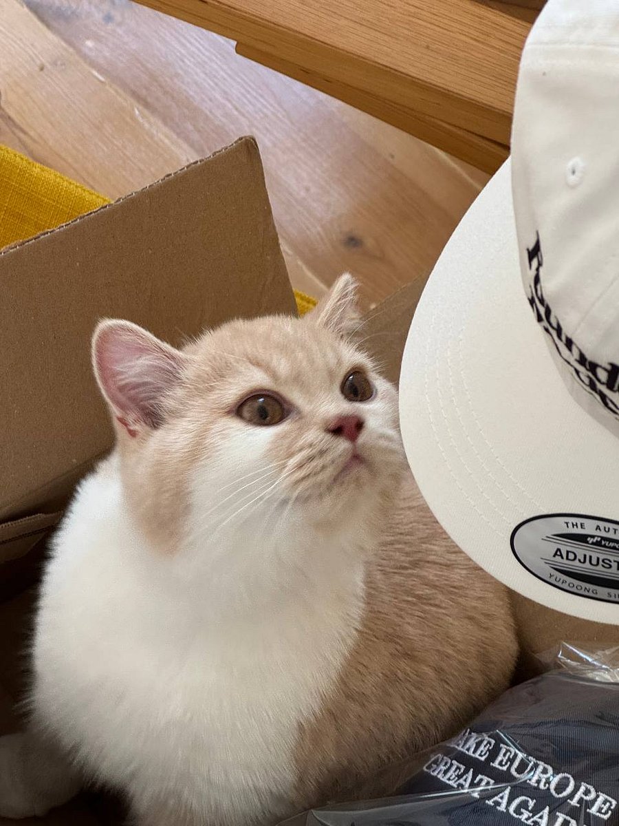 founder mode hat (100% cotton) product image (6)