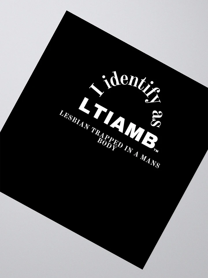 LTIAMB stickers 3x3 product image (2)