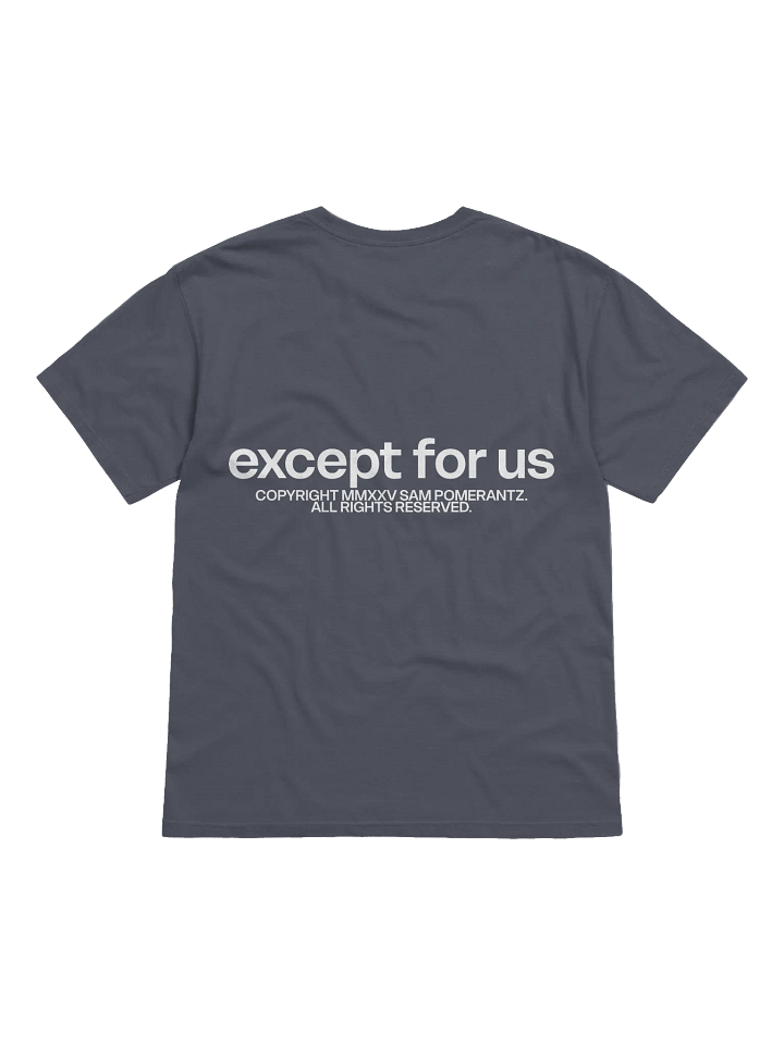 Except For Us Threshold Tee 2 product image (2)
