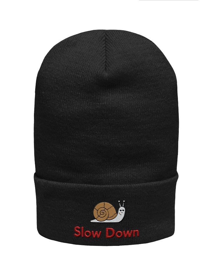 Slow Down Snail Beanie – Cute Embroidered Hat with Snail Design product image (1)