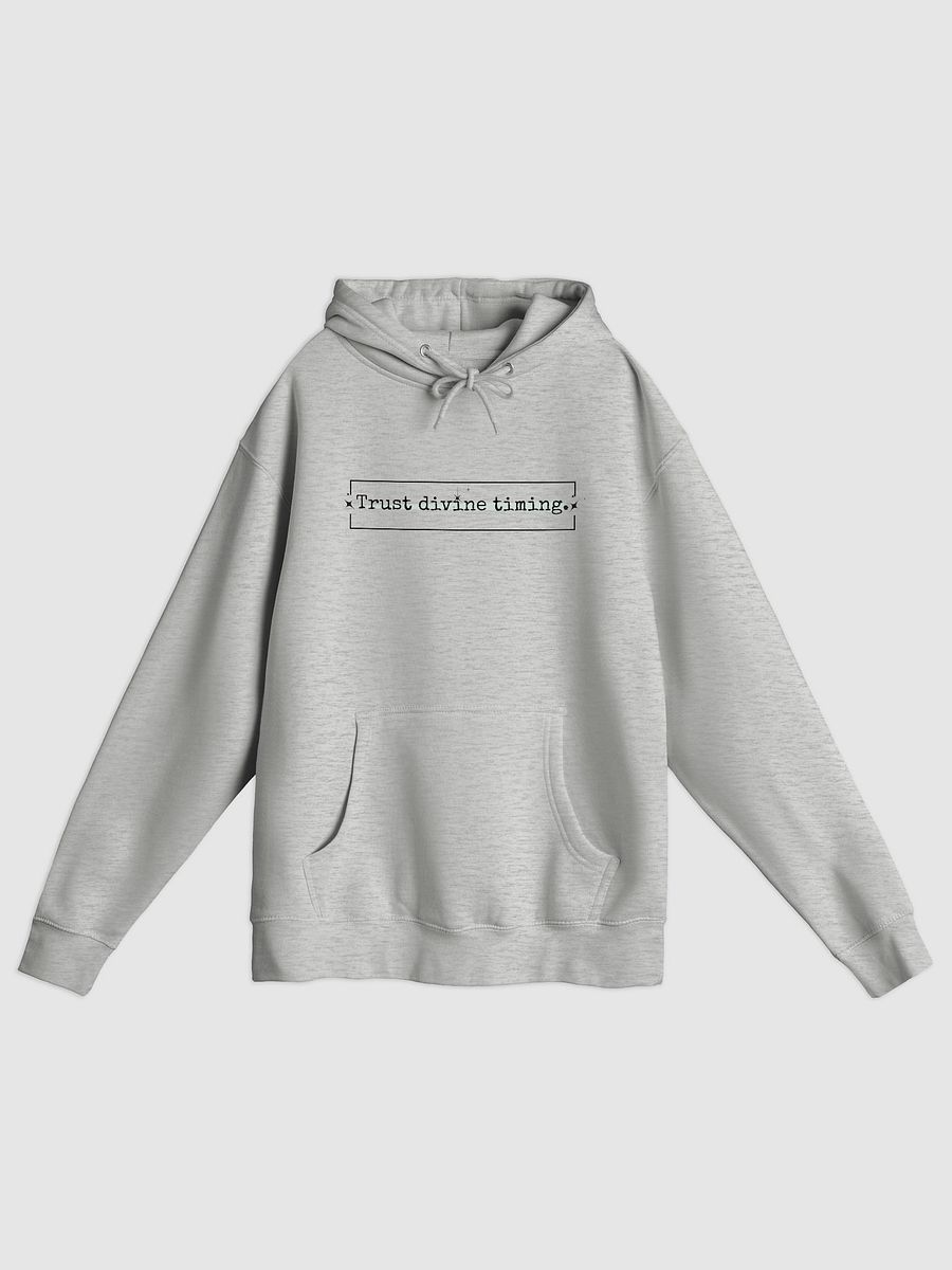 Trust Divine Timing Hoodie product image (1)