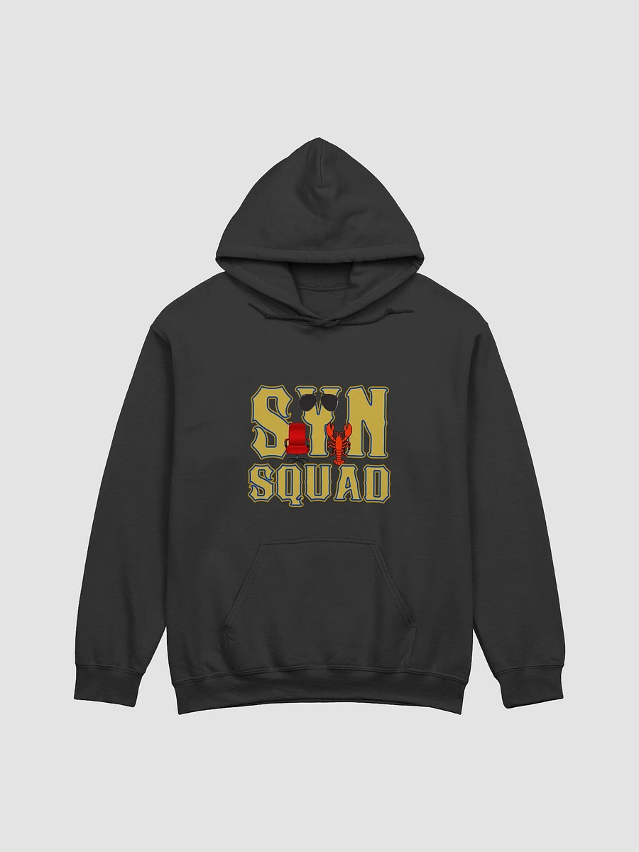 Syn Squad USAF Hoodie product image (1)